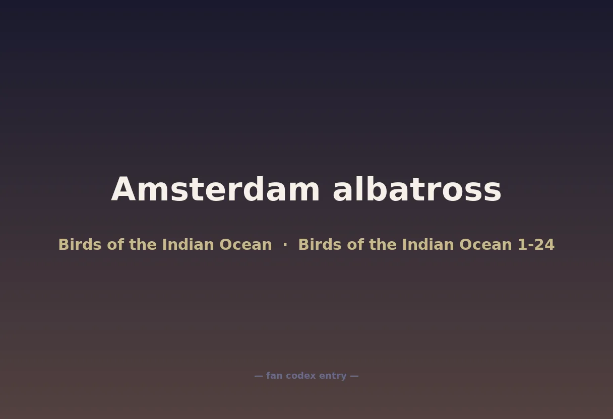 Amsterdam albatross