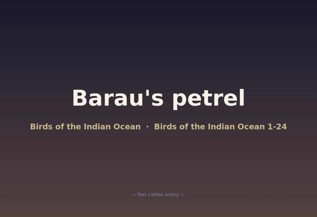 Barau's petrel