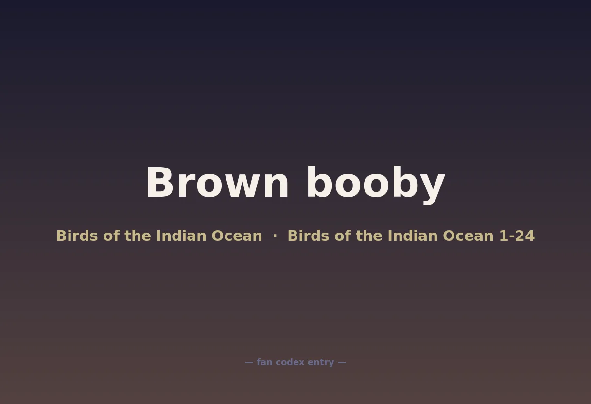 Brown booby